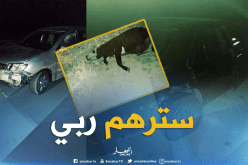 بالصور.. بقرة كادت تودي بحياة 4 أشخاص بتبسة