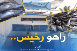 انخفاض في أسعار السمك .. والسردين بـ400 دينار