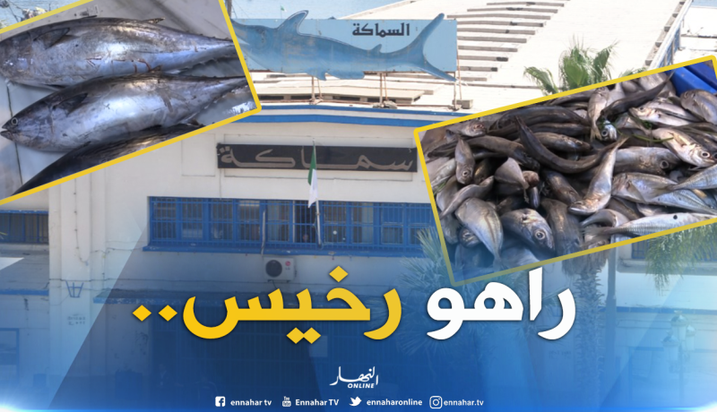 انخفاض في أسعار السمك .. والسردين بـ400 دينار
