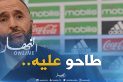 “الطوغوليون” يعودون للتهجم على “بلماضي”!