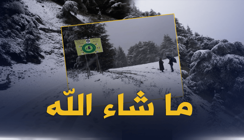 بالصور ..جبال البابور بسطيف تكتسي الحلة البيضاء