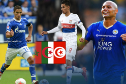 المغتربون يديرون ظهورهم للمنتخبات المغاربة !