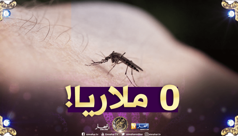 منظمة الصحة العالمية تعلن عن خلو الجزائر من الملاريا