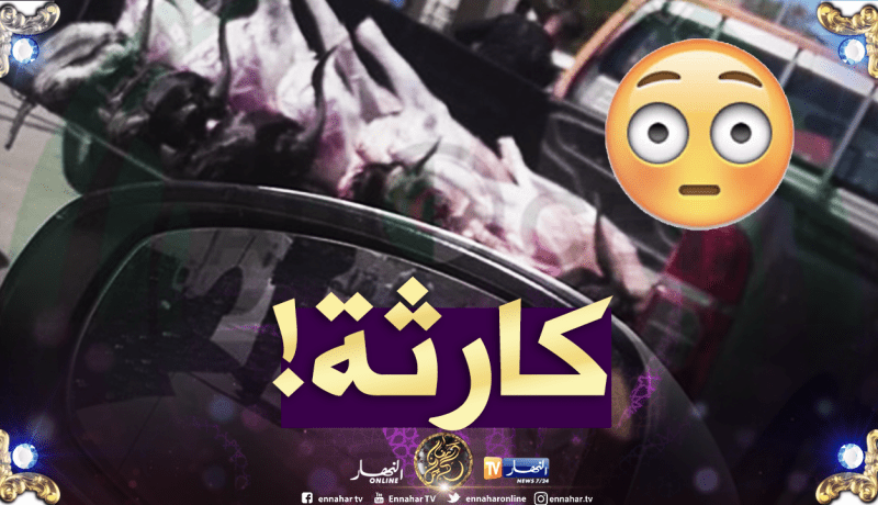 سيارة تنقل لحوم تحت أشعة الشمس تثير استياء الفايسبوكيين !