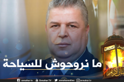 عمارة يبرز أهداف الخضر في كأس العرب