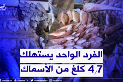 الأسماك.. الجزائريون يستهلكون 200 ألف طن سنويا