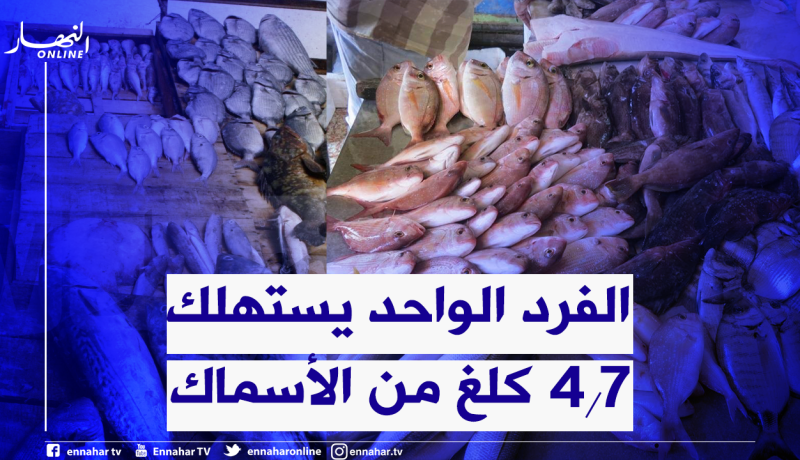 الأسماك.. الجزائريون يستهلكون 200 ألف طن سنويا