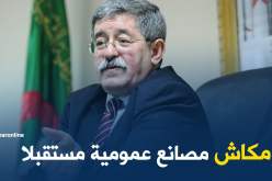 أويحيى: الدولة لن تبني مصانع عمومية والجزائر سيعمرها رجال الأعمال