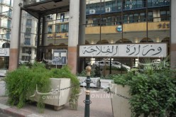 تعيين رئيس جديد للمجلس الوطني ما بين المهن للحوم الحمراء