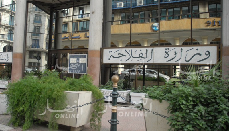 تعيين رئيس جديد للمجلس الوطني ما بين المهن للحوم الحمراء