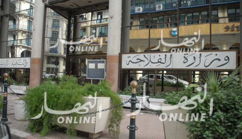 1500 بيطري يداومون يومي عيد الأضحى
