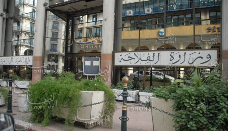 وزارة الفلاحة تبحث عن حلول لتخفيض أسعار البطاطا