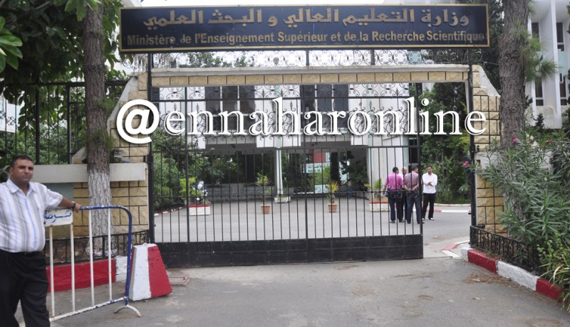 وزارة التعليم العالي : تنصيب لجنة وطنية لإعادة النظر في خارطة التكوين