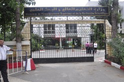 تعاون جزائري إماراتي في التعليم العالي