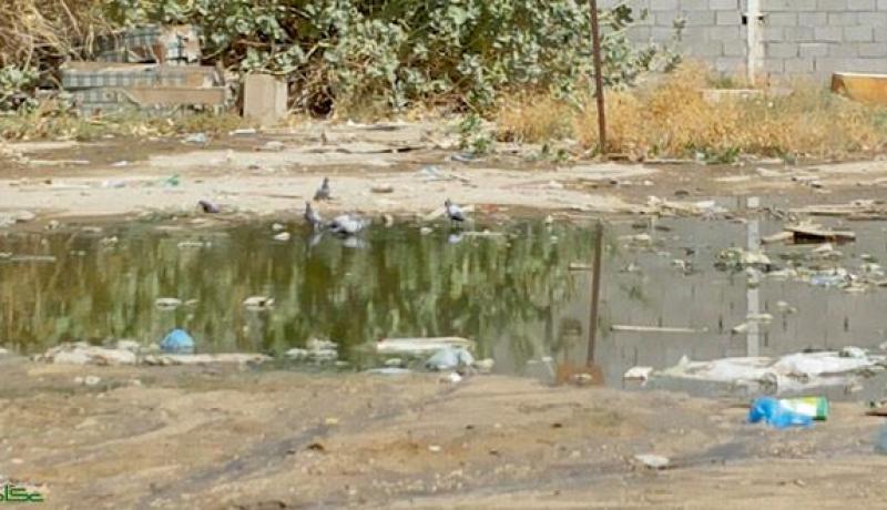 وزارة الصحة تنفي وجود وضع وبائي لحمى المستنقعات بتمنراست