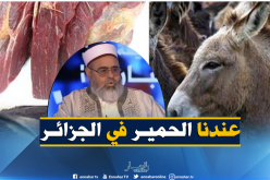 علي عية: إستيراد لحم الحمير والبغال … “حــــــــرام”