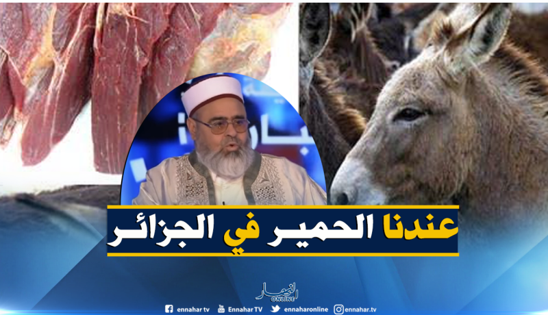 علي عية: إستيراد لحم الحمير والبغال … “حــــــــرام”