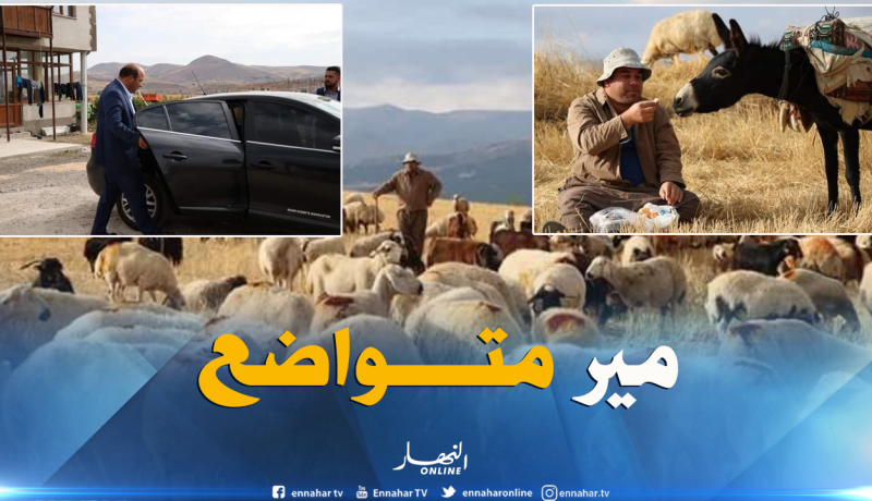 بالفيديو…هكذا يحترف رئيس بلدية رعي الغنم