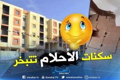 بالفيديو .. هكذا يبني الصينيون قبور الجزائريين