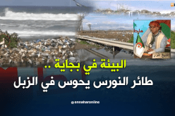 جماعة البيئة في بجاية.. هابطين.. هابطين ..هابطين