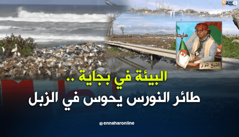 جماعة البيئة في بجاية.. هابطين.. هابطين ..هابطين