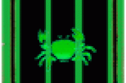 مهداوي يصف تربص العاصمة بالناجح ويعد بانطلاقة قوية