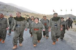 استسلام 7 أعضاء من حزب العمال الكردستاني لقوات الأمن بجنوب شرق تركيا