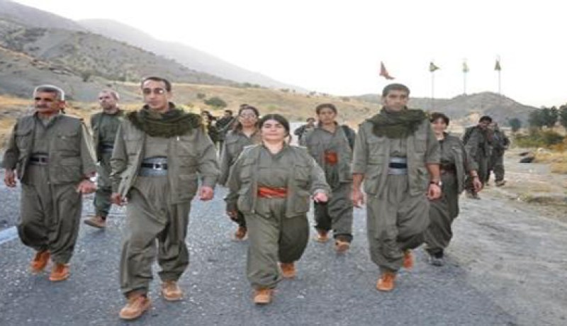 استسلام 7 أعضاء من حزب العمال الكردستاني لقوات الأمن بجنوب شرق تركيا