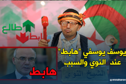 وزير الصناعة والمناجم يوسف يوسفي “هابط” عند الشيخ النوي والسبب .. !!