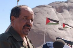 المخابرات المغربية استغلت مقتل بوضياف لاقتحام تندوف وتنفيد مخطط اغتيال