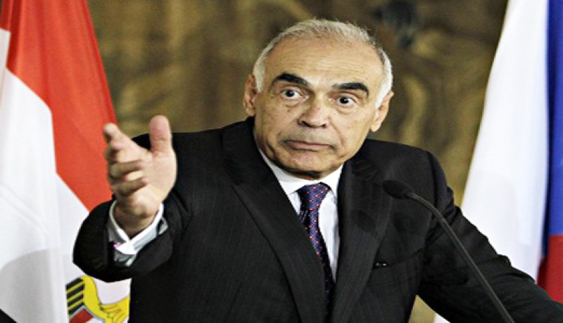 وزير خارجية مصر يؤكد رفض بلاده لأي تدخل أجنبي في شؤونها الداخلية