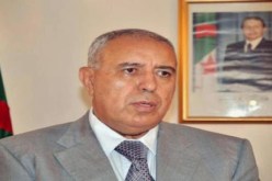 الغازي يؤكد الشروع في تطبيق القرار بإلغاء المادة 87 مكرر من قانون العمل