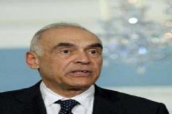 الخارجية المصرية تؤكد عدم قدرتها على سداد غرامات المصريين بالخارج