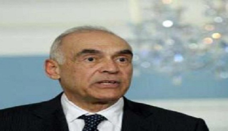 الخارجية المصرية تؤكد عدم قدرتها على سداد غرامات المصريين بالخارج