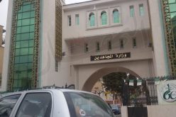 حركة إقالات وتعيينات في سلك مديري المجاهدين بالولايات