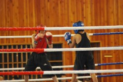 أربعة ملاكمين جزائريين ضمن لائحة العشرة  الأوائل عالميا