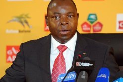 حمار يتسبب في وفاة مساعد مدرب جنوب أفريقيا