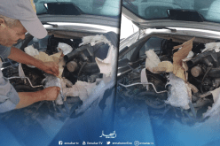 الجمارك تحجز سيارة على متنها محركات وقطع غيار مستعملة بأم البواقي