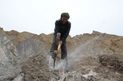 جبل الملح.. من هنا تأتي أعلاف أضاحي الجزائريين