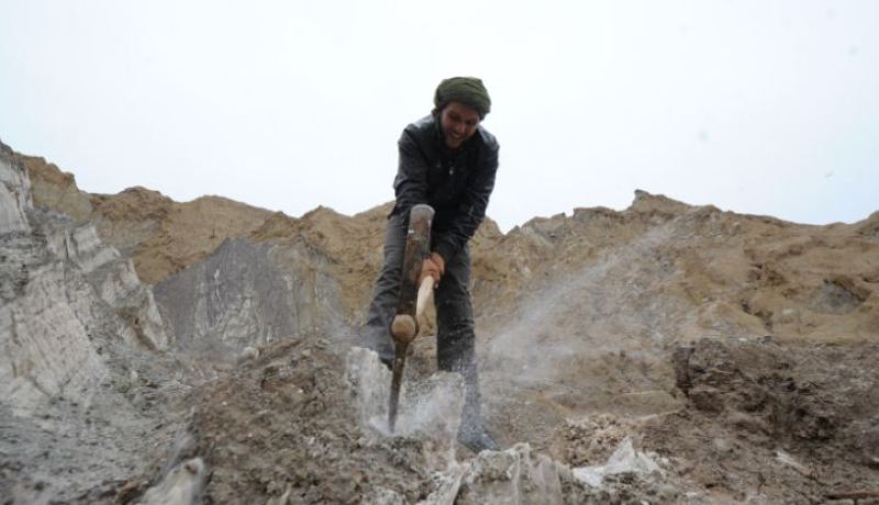 جبل الملح.. من هنا تأتي أعلاف أضاحي الجزائريين