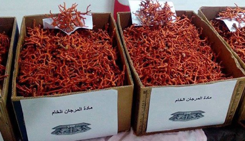 حجز أزيد من 4 كلغ من المرجان وتوقيف 3 أشخاص بسيدي سالم في عنابة
