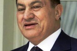 أنفلونزا الأسماك يهدد مصر