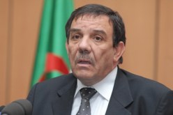 الجبهة الوطنية الجزائرية تضبط آليات تجديد الهياكل القاعدية