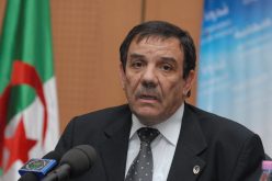 رئيس الجبهة الوطنية الجزائرية يؤكد على ضرورة إصلاح النظام الداخلي لحزبه