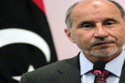 عبد الجليل : المجلس اصدرا عفوا عن جرائم ما قبل الثورة في ليبيا