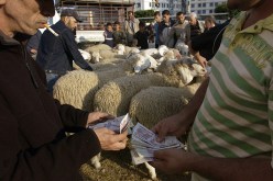 «الزوالي يتفرج»..أسعار الأضاحي تتجاوز 6 مليون سنتيم!