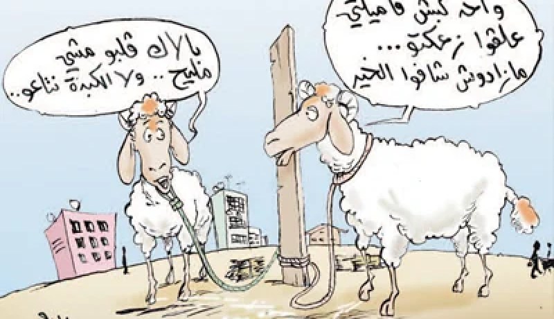 الذيـــل لطـــرد الحســـد .. الــدم لعــلاج الأمراض و''الهيـــدورة'' للبنـــات!