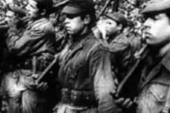 تظاهرات احتفالية متنوعة تعم سائر ولايات جنوب الوطن