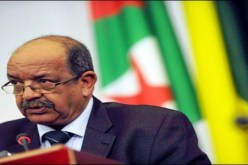 مساهل: قطاع الطاقة يمكنه أن يكون مجالا أساسيا لتعزيز العلاقات الاقتصادية بين الجزائر و النيجر