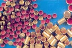 تأجيل قضية المتاجرة في‮ ‬الأسلحة والذخيرة الحية بجنايات تيارت